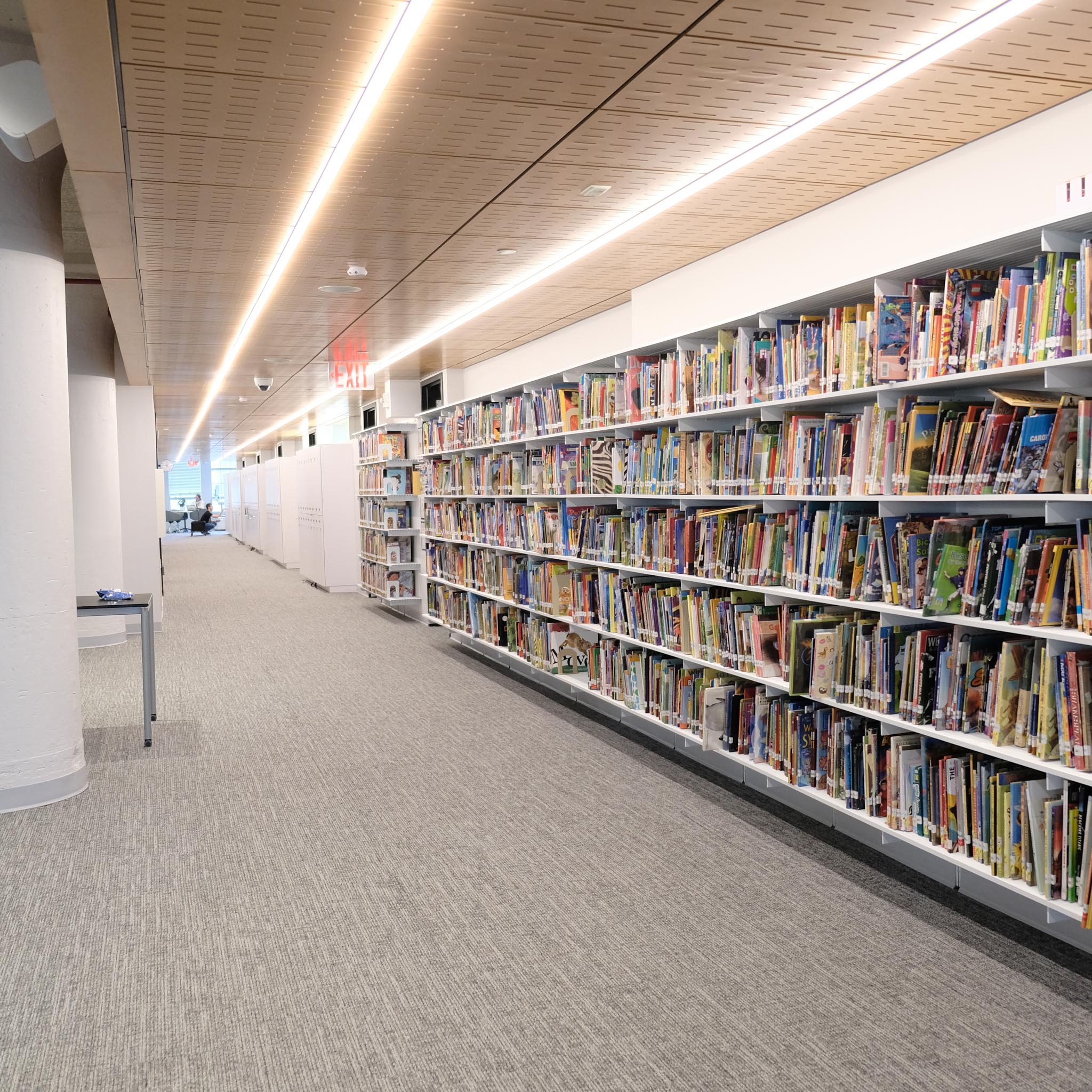 Avenues School: New York